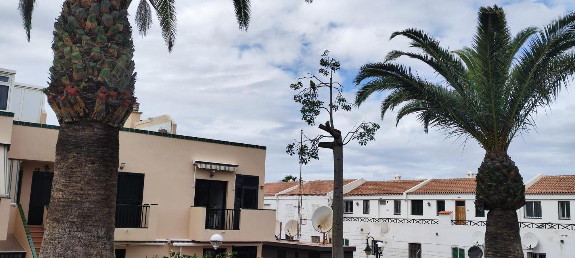Appartamento Costa del silencio Atlántico I Arona  Esterno foto